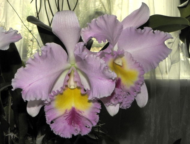 DSCN6227.JPG