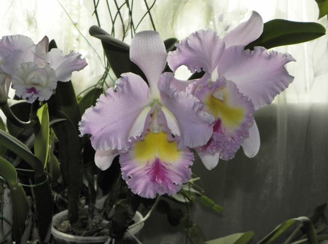 DSCN6220.JPG