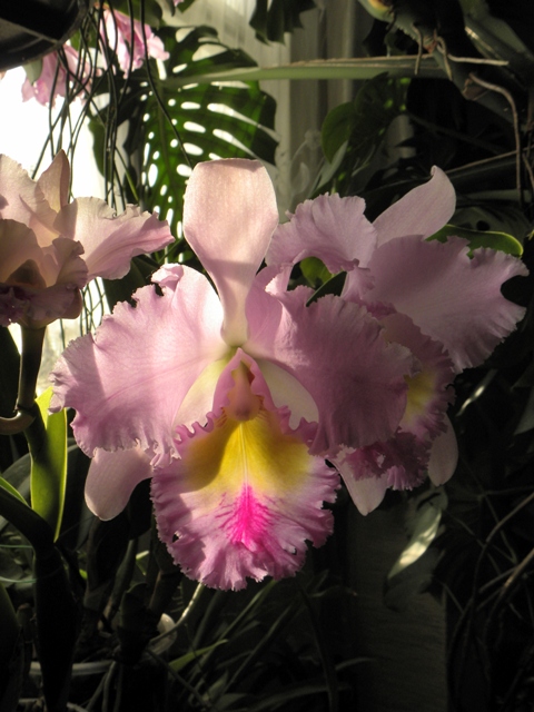 DSCN6182.JPG