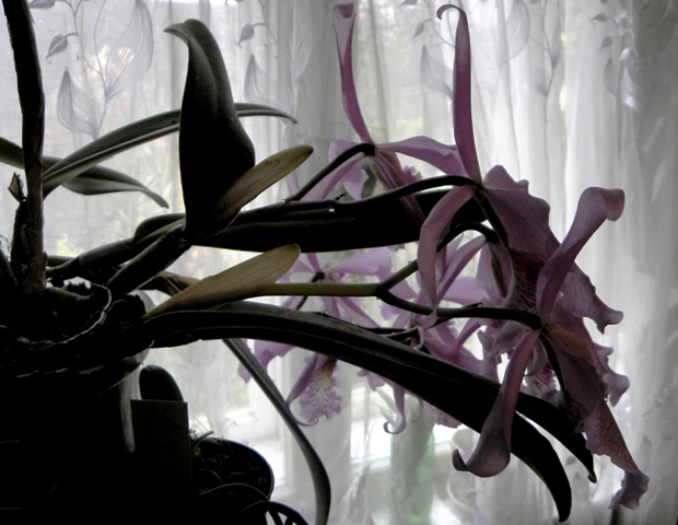 DSCN1897.JPG