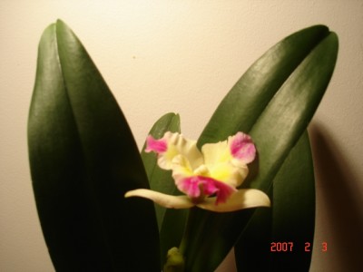 DSC00064.JPG