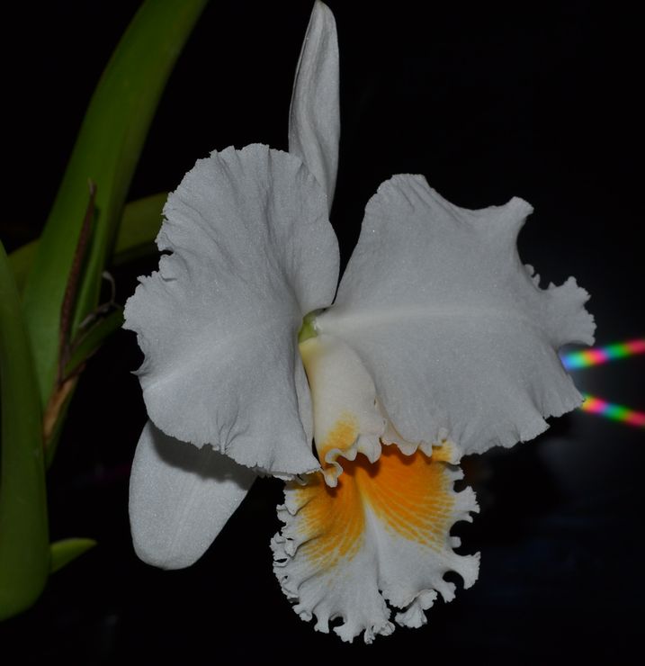 DSC_0049.JPG