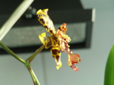 P2178946.JPG