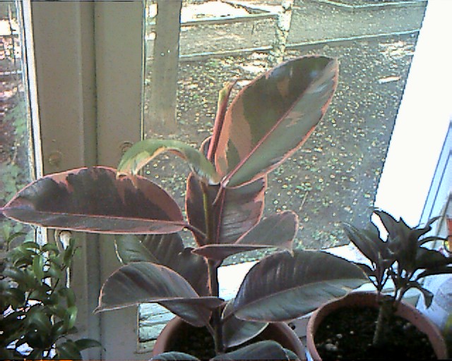 KDC_1706.JPG