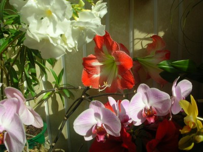 DSCN2913.JPG