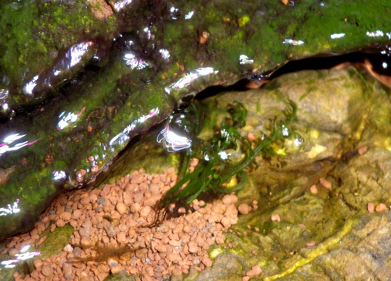 DSCN0014.JPG