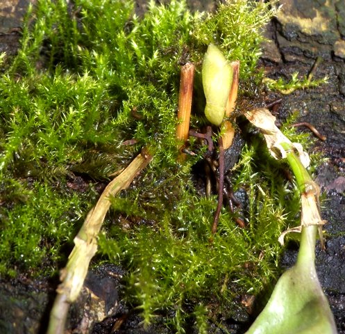 DSCN0028.JPG