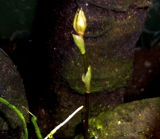 DSCN0004.JPG