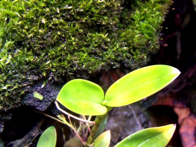 DSCN0005.JPG