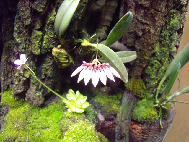 DSCN0006.JPG