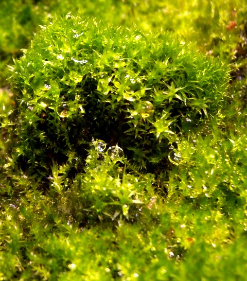 DSCN0004.JPG
