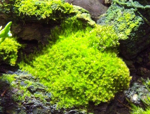 DSCN0025.JPG