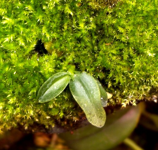 DSCN0003.JPG