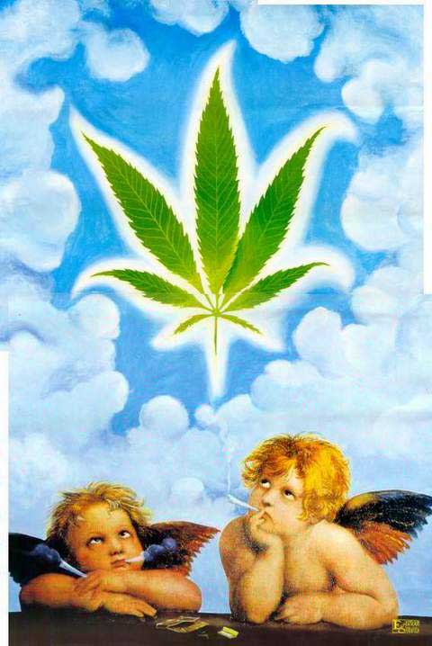 angelganja.jpg