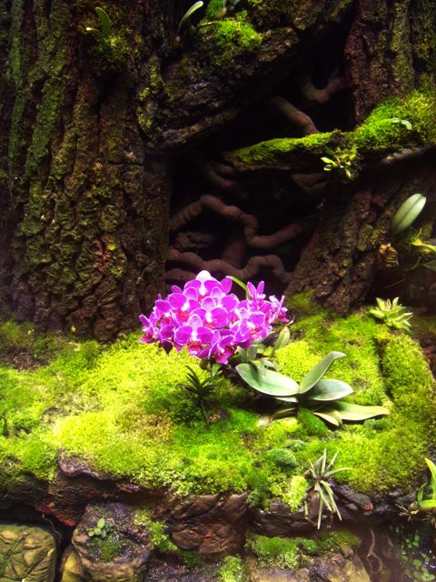 DSCN0002.JPG