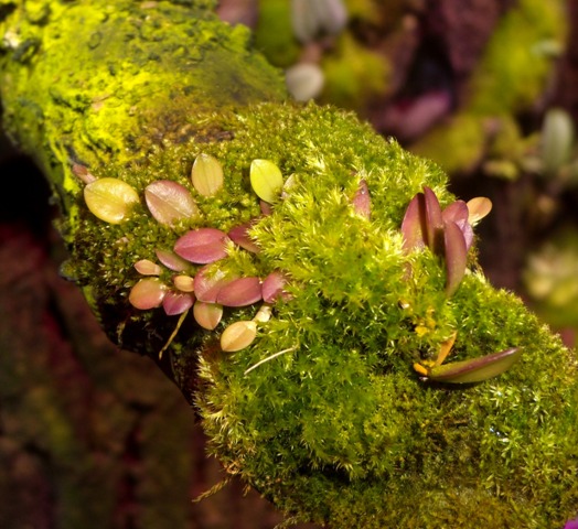 DSCN0009.JPG