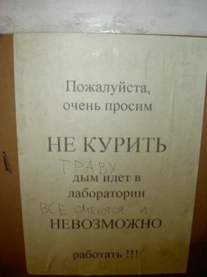 43814.jpg