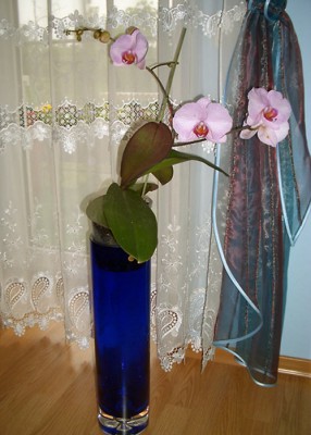 2751.jpg