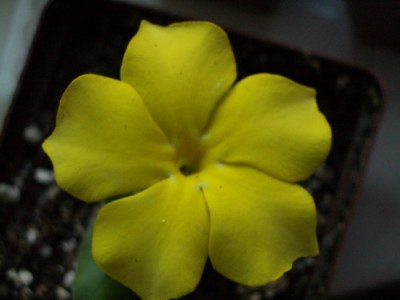 IMGP4720.jpg