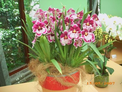 2007 104.JPG