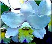 image36.jpg
