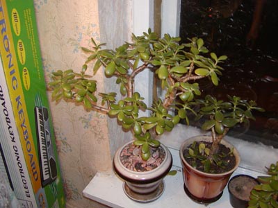 P1010252.JPG