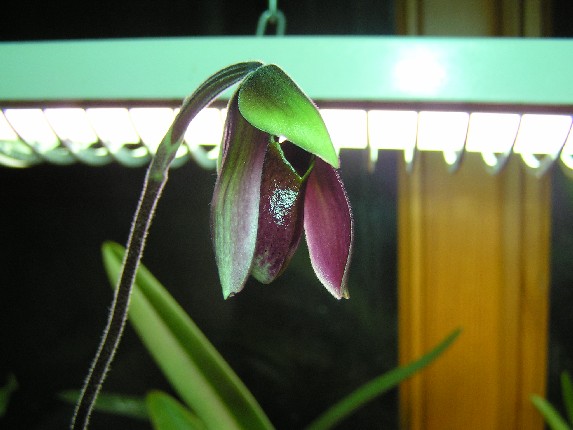 P2284030.JPG