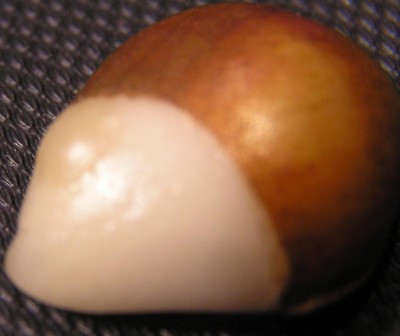 P6201443.jpg