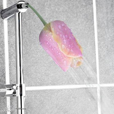 35970_12025.jpg