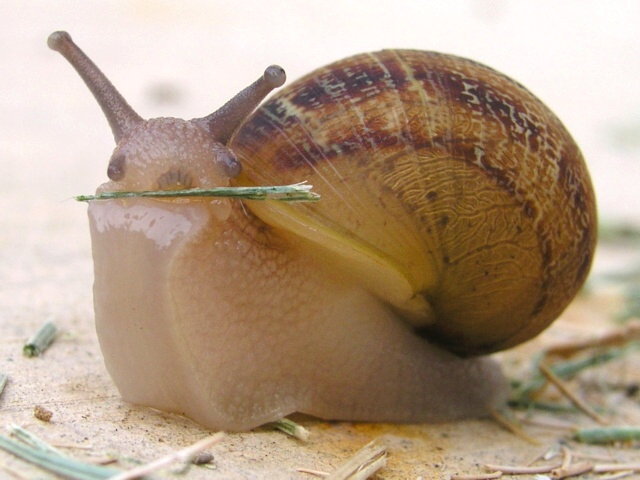 36396_13005.jpg