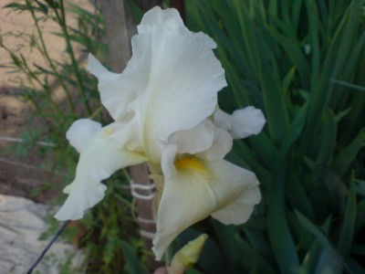 DSC00321.JPG