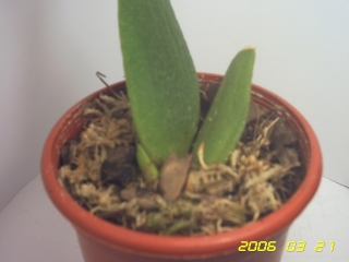 PICT0093.jpg