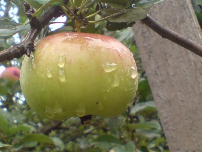 DSC00047.JPG