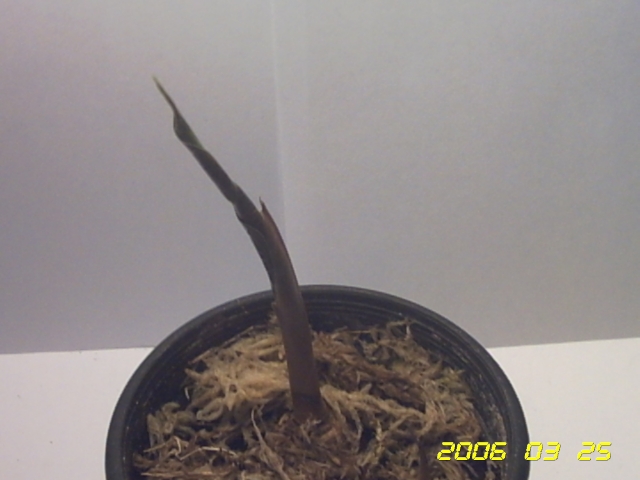 PICT0024.jpg