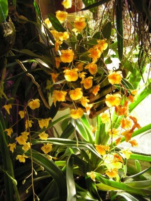 PICT0151.JPG