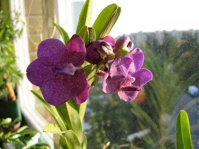 IMG_7510.jpg