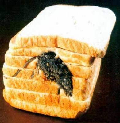 image002.jpg