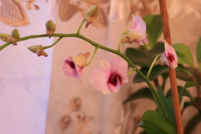 IMG_0022.jpg