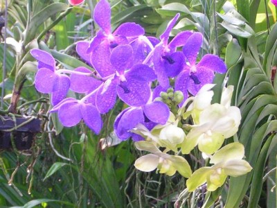 PICT0407.JPG