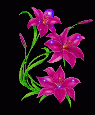 9.gif
