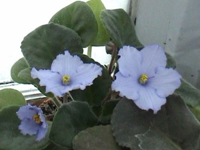 а это спорт