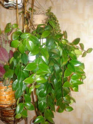 DSC05776.jpg
