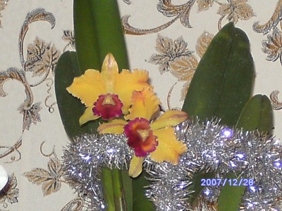 PICT0093.JPG