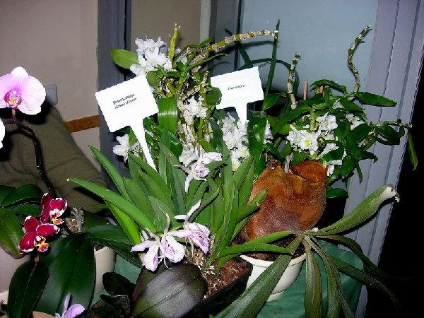 DSCN40240001.JPG