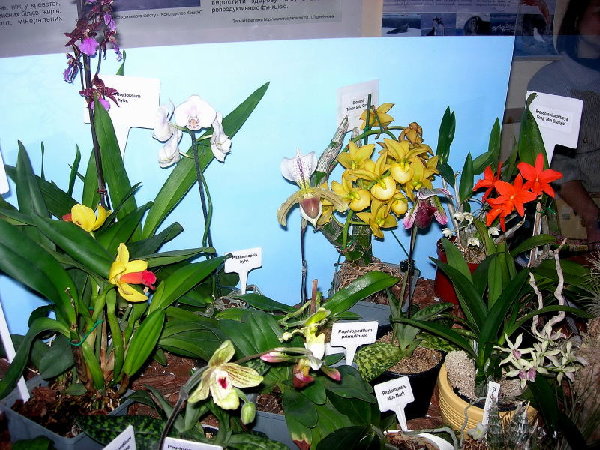 DSCN40300001.JPG