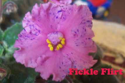 100_3710.jpg