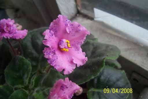100_3723.jpg