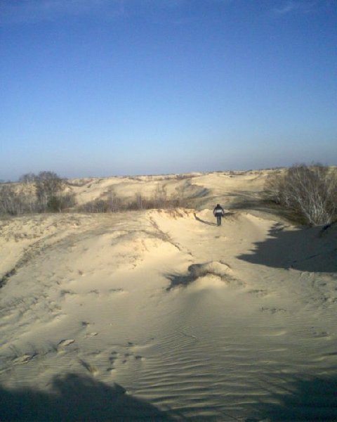 SP_A0068.jpg