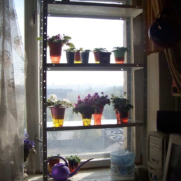 100_3881.jpg