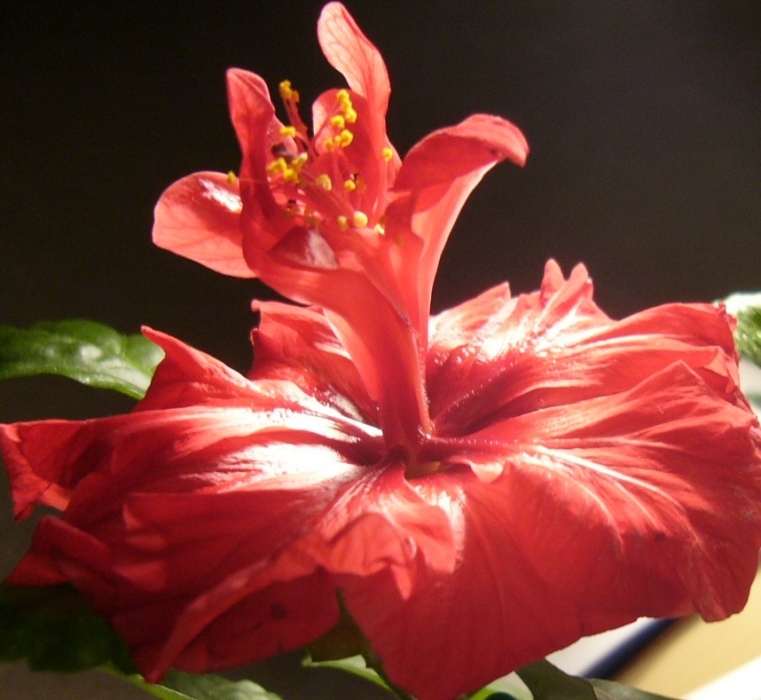 Picture 152.jpg